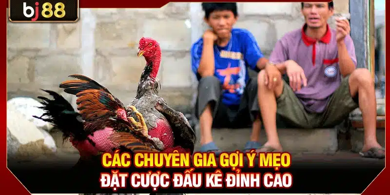 Đá Gà CPC1 BJ88 - Luật Chơi Chi Tiết Và Mẹo Cược Đỉnh Cao 4 Các chuyên gia gợi ý mẹo đặt cược đấu kê đỉnh cao