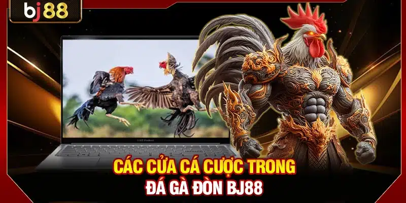 Đá Gà Đòn BJ88 - Nơi Những Chiến Kê Huyền Thoại So Tài 4 Các cửa cá cược trong đá gà đòn BJ88