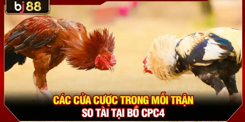 Đá Gà CPC4 BJ88 - Trực Tiếp Miễn Phí 300 Trận Từ Thomo 3 Các cửa cược trong mỗi trận so tài tại bồ CPC4