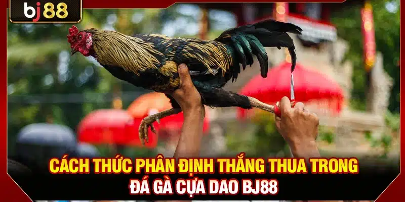 Đá Gà Cựa Dao BJ88 - Quy Tắc Tổ Chức Trận Đấu Chi Tiết 3 Cách thức phân định thắng thua trong đá gà cựa dao BJ88
