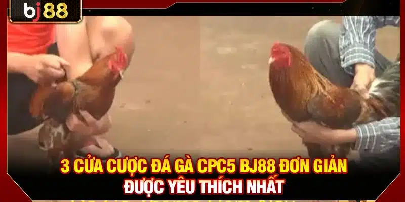 Trực Tiếp Đá Gà CPC5 BJ88 FULL HD Kịch Tính Nảy Lửa Mỗi Ngày 4 3 cửa cược đá gà CPC5 BJ88 đơn giản được yêu thích nhất