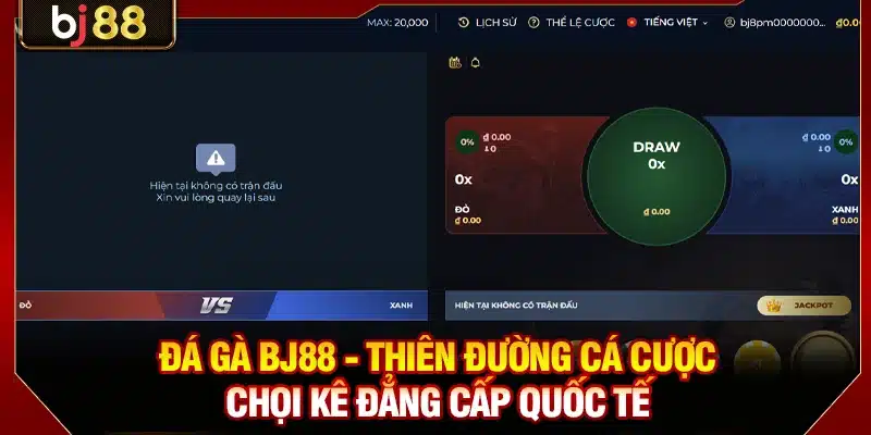 Đá Gà BJ88 - Thiên Đường Cá Cược Chọi Kê Đẳng Cấp Quốc Tế 1 Đá Gà BJ88