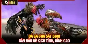 Đá Gà Cựa Sắt BJ88