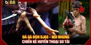 Đá Gà Đòn BJ88
