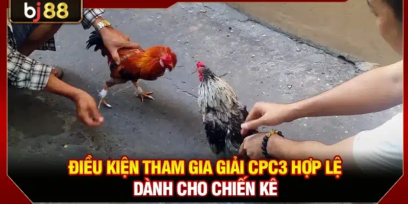 Đá Gà CPC3 BJ88 - Giải Chọi Kê Kịch Tính Nhất 2026 3 Điều kiện tham gia giải CPC3 hợp lệ dành cho chiến kê