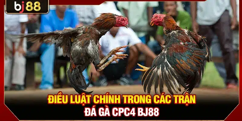 Đá Gà CPC4 BJ88 - Trực Tiếp Miễn Phí 300 Trận Từ Thomo 4 Điều luật chính trong các trận đá gà CPC4 BJ88