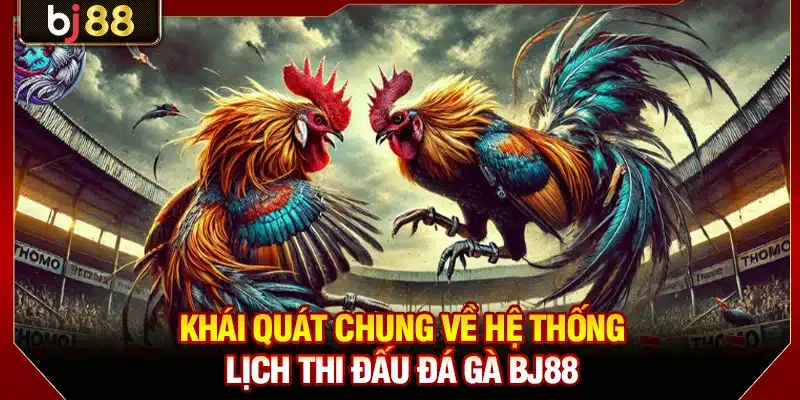 Lịch Thi Đấu Đá Gà BJ88 - Cập Nhật Trận Chiến Mới Nhất 2 Khái quát chung về hệ thống lịch thi đấu đá gà BJ88
