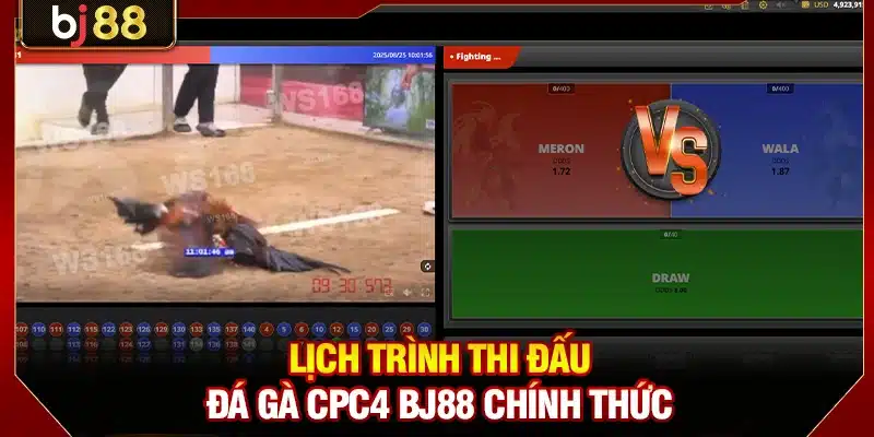 Đá Gà CPC4 BJ88 - Trực Tiếp Miễn Phí 300 Trận Từ Thomo 2 Lịch trình thi đấu đá gà CPC4 BJ88 chính thức