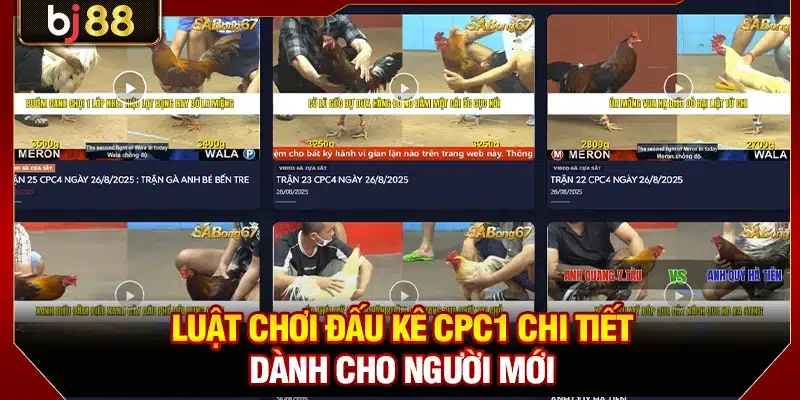 Đá Gà CPC1 BJ88 - Luật Chơi Chi Tiết Và Mẹo Cược Đỉnh Cao 3 Luật chơi đấu kê CPC1 chi tiết dành cho người mới