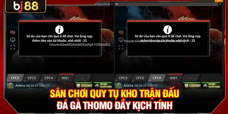 Đá Gà BJ88 - Thiên Đường Cá Cược Chọi Kê Đẳng Cấp Quốc Tế 3 Sân chơi quy tụ kho trận đấu đá gà Thomo đầy kịch tính