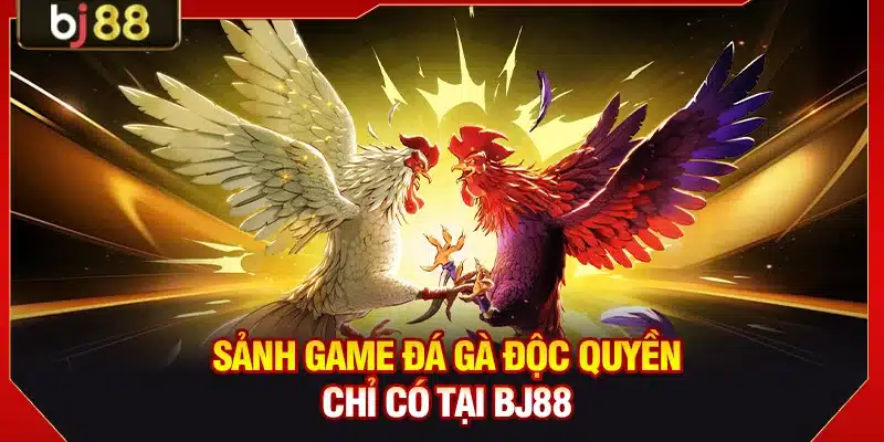 Sảnh game đá gà độc quyền chỉ có tại BJ88