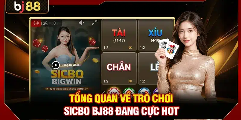 Sicbo BJ88 - Game Cược Đa Dạng Với Thưởng Siêu Hấp Dẫn 2 Tổng quan về trò chơi Sicbo BJ88 đang cực hot