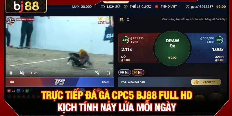 Trực Tiếp Đá Gà CPC5 BJ88 FULL HD Kịch Tính Nảy Lửa Mỗi Ngày 1 Đá Gà CPC5 BJ88