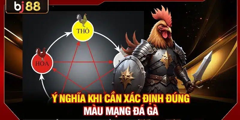 Màu Mạng Đá Gà BJ88 - Giải Mã Chiến Kê Dựa Theo Ngũ Hành 2 Ý nghĩa khi cần xác định đúng màu mạng đá gà